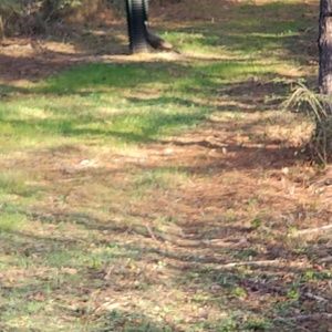 Meet your Posher, Tim